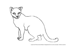 Katze-3.pdf